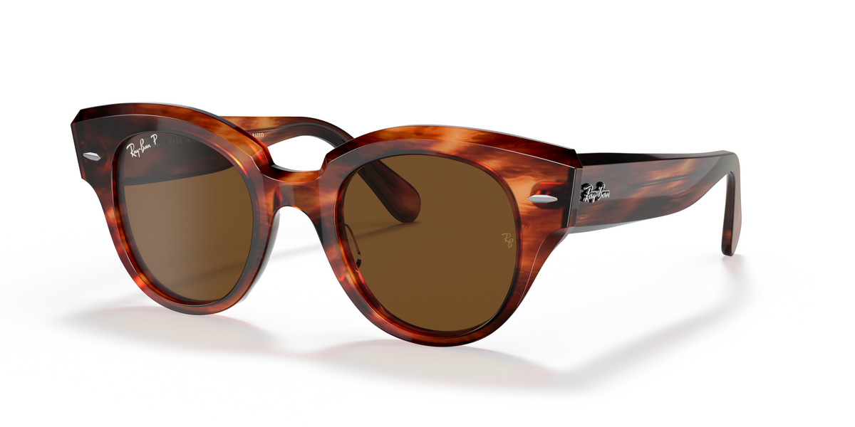 RB2192 Tortoise/Polarized Brown Classic B-15/Polarized STD