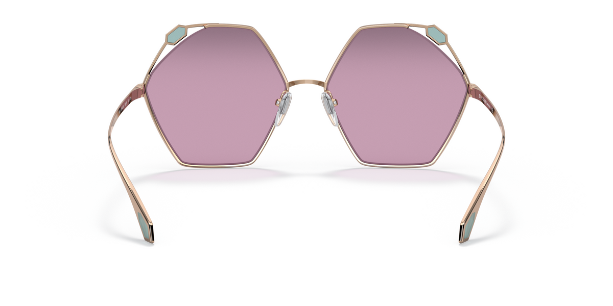 BV6160 Pink/Violet L