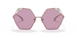 BV6160 Pink/Violet L