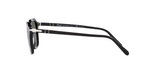 PO3292S Black/Polar Green/Polarized