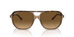 RB2205 Gold/Brown/Polarized XL