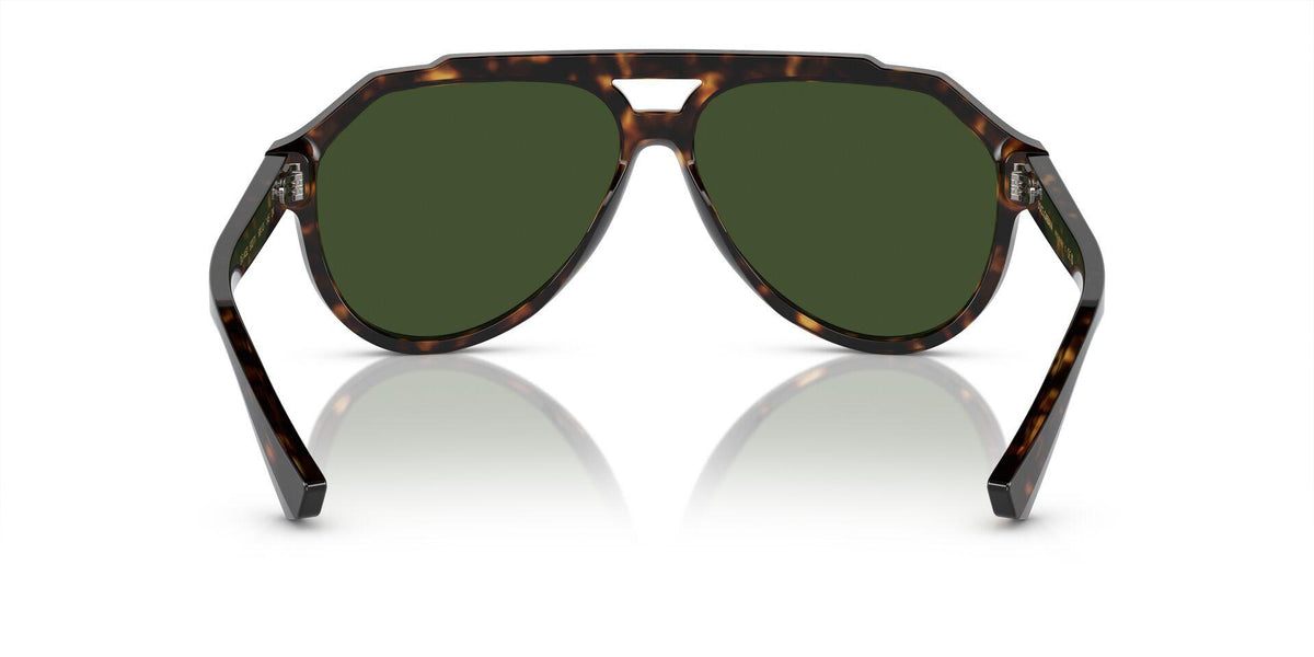 DG4452 Tortoise/Dark Green L